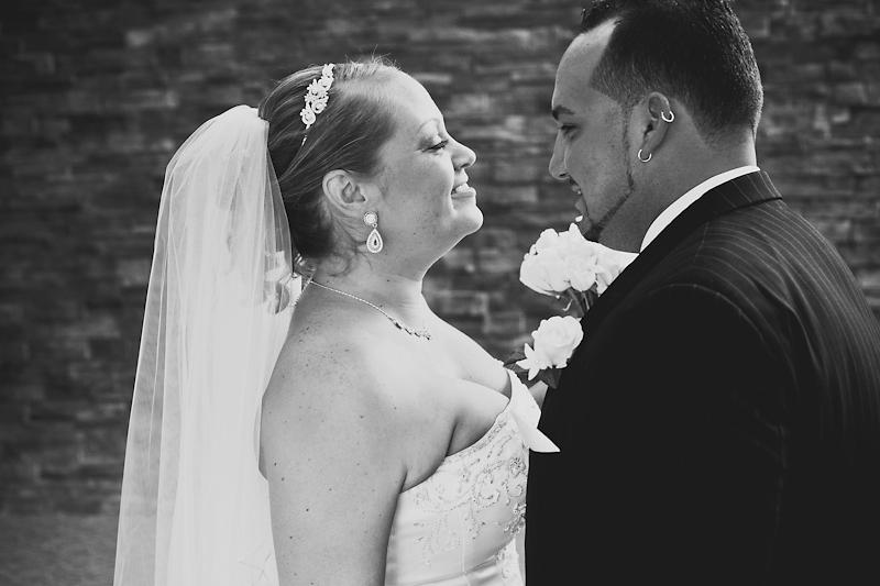 Syracuse-NY-Drumlins-Wedding1