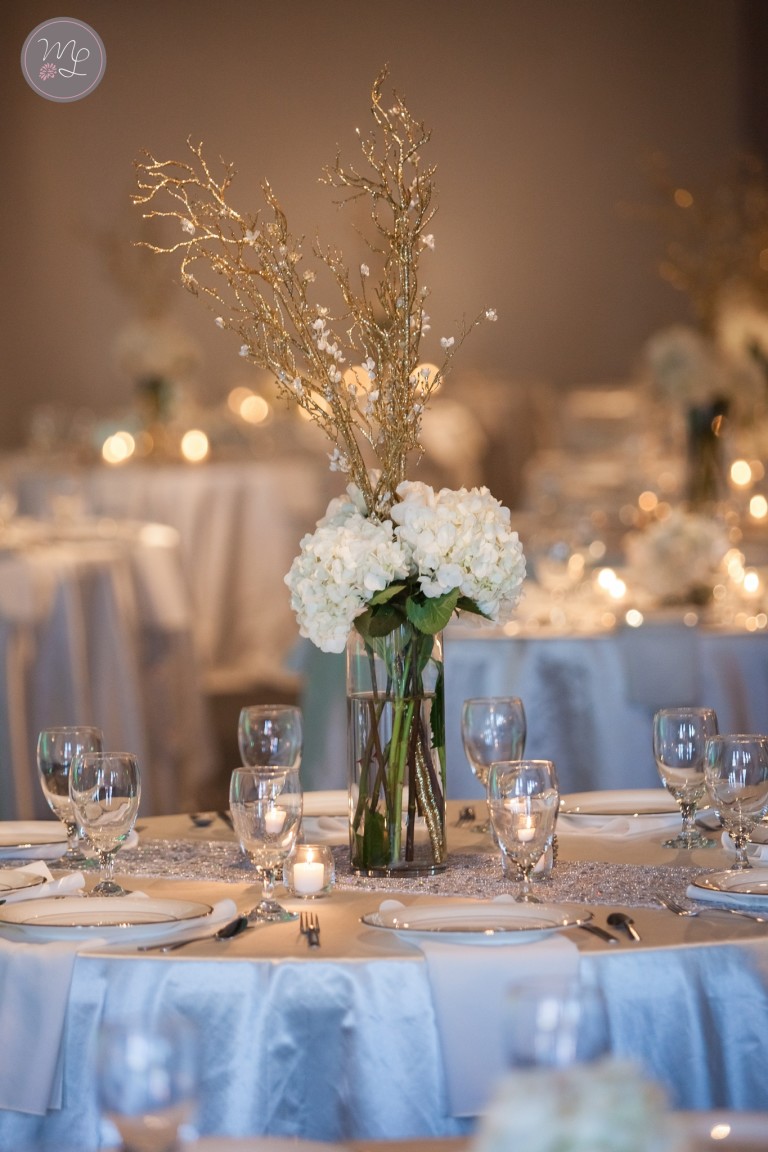 Kress Terrace Wedding Greensboro, NC Haleigh & Brent Charlotte Wedding Photography